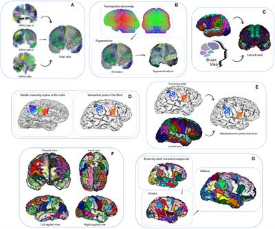 From Coarse to Fine-Grained Parcellation of the Cortical Surface Using a Fiber-Bundle Atlas